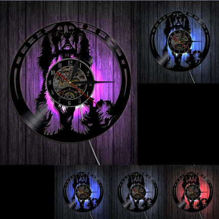 Cavalier King Charles vinylplade ur